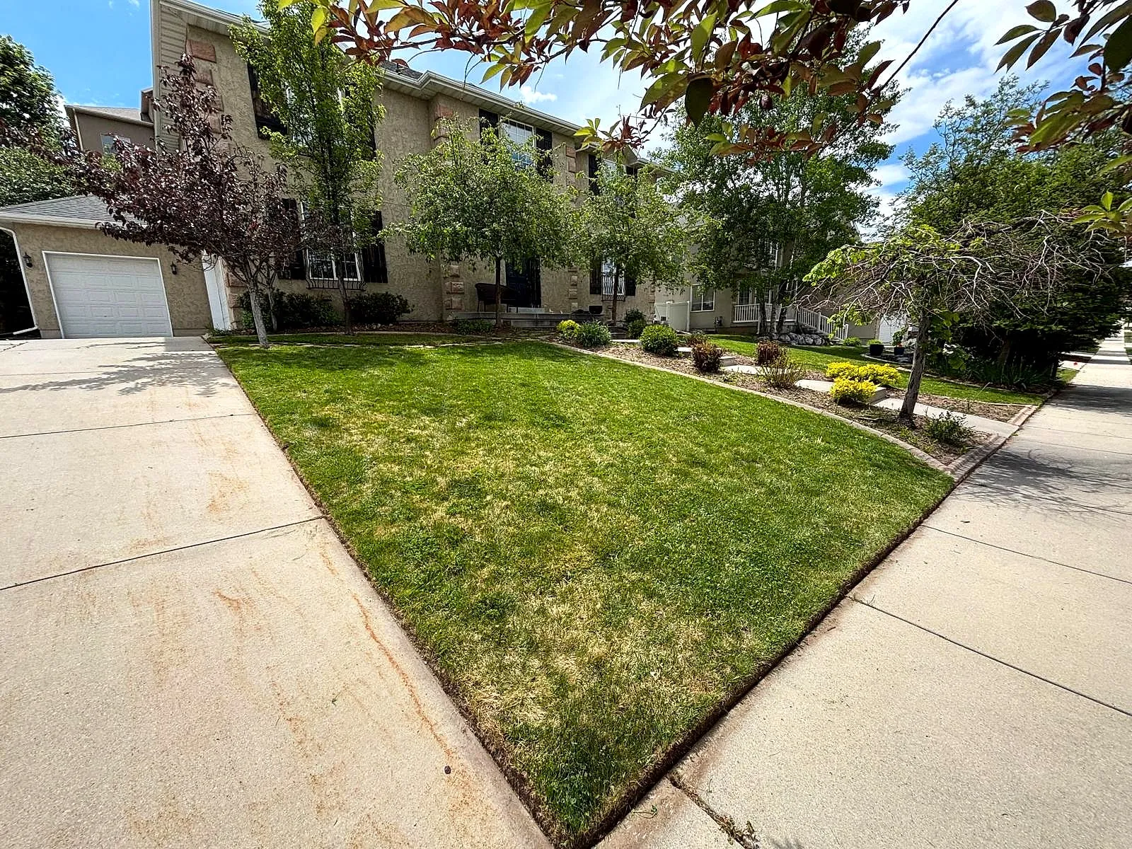 A freshly mowed front lawn with straight, clean edges along the driveway and sidewalk, finished by Taylor’d Lawn Care
